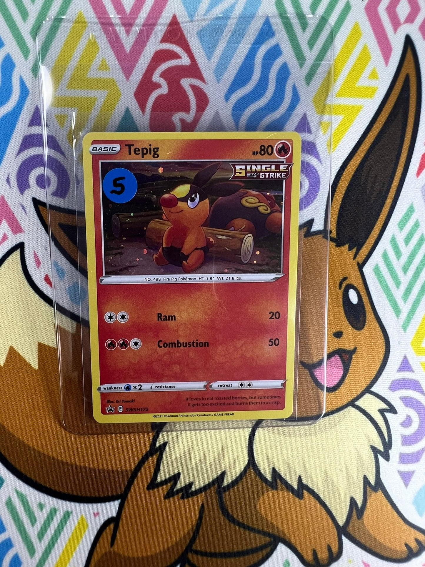 Tepig SWSH172