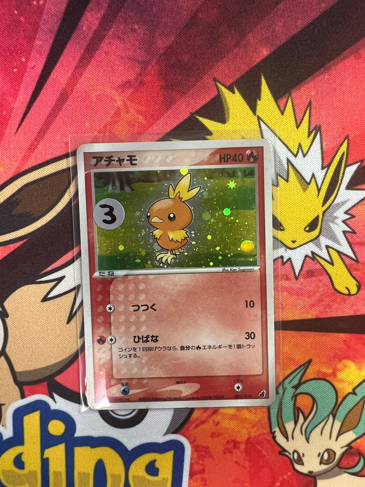 torchic-002-019