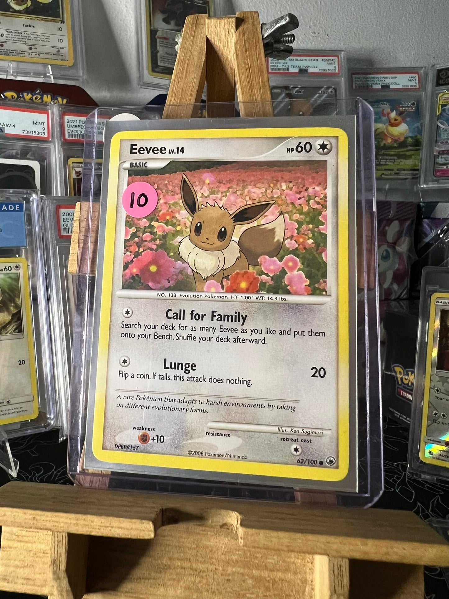 Eevee Lv14 62/100