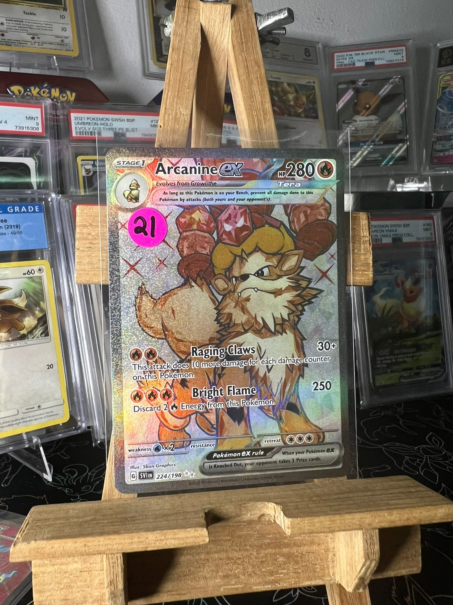 Arcanine Ex 224/198