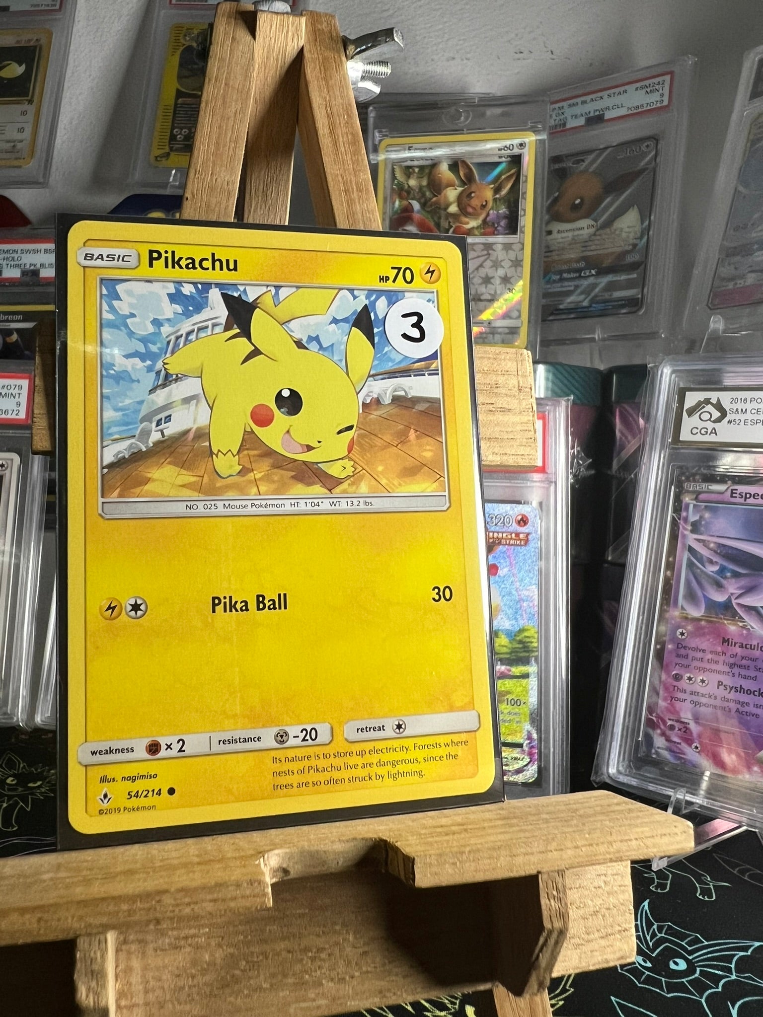 Pikachu 54/214