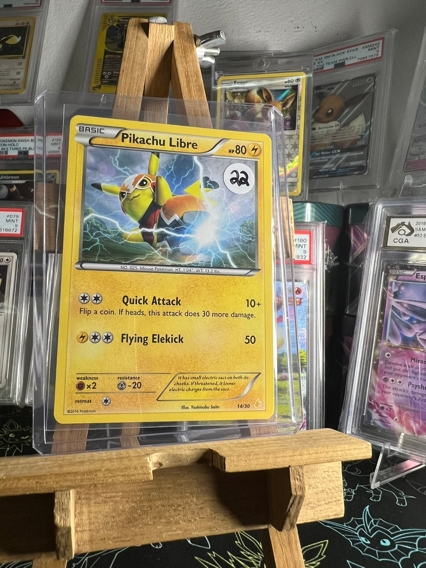 Pikachu Libre 14/30